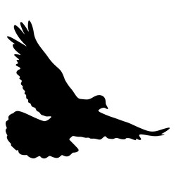 Similar image 21631125