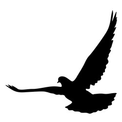 Similar image 21631206