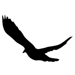 Similar image 21631320