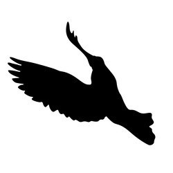 Similar image 21631325