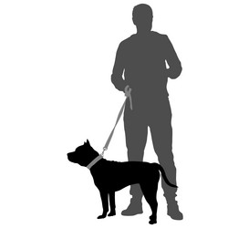 Similar image 21558934