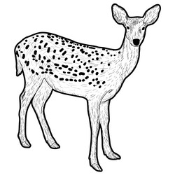 Similar image 21558935