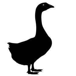 Similar image 21609711