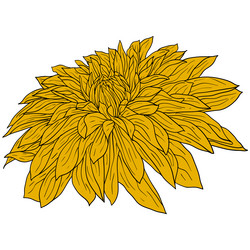 Similar image 21611598