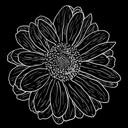 Similar image 21611604