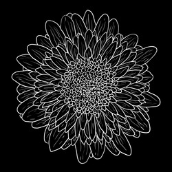 Similar image 21611735