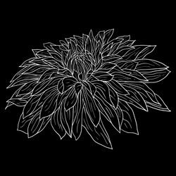 Similar image 21630124