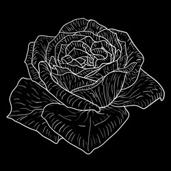 Similar image 21630125