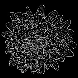 Similar image 21630627