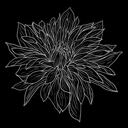 Similar image 21630802