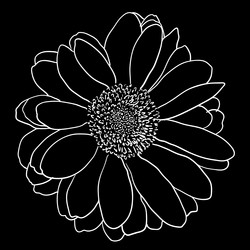 Similar image 21630805