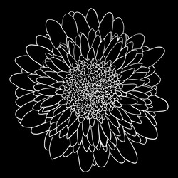 Similar image 21630809