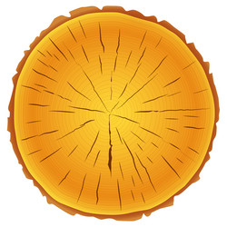 Similar image 21556222