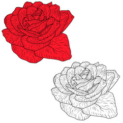 Similar image 21630820