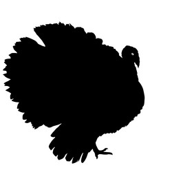 Similar image 21631033