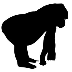 Similar image 21631348