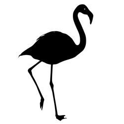 Similar image 21631474