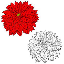 Similar image 21631475