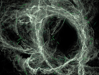 Similar image 21617651