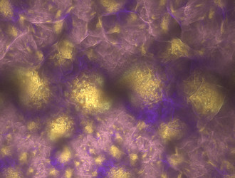 Similar image 21618069