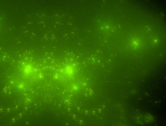 Similar image 21618924