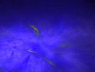 Similar image 21624286