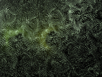 Similar image 21624776