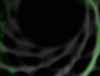 Similar image 21619783