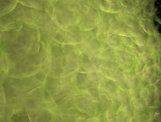 Similar image 21622822