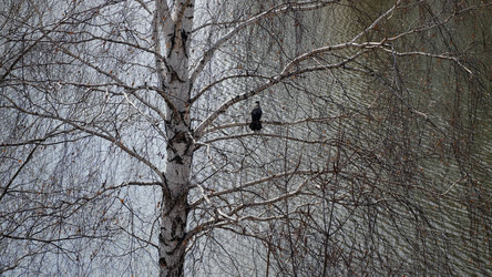 Similar image 21555992