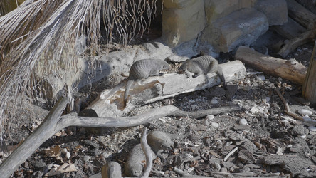 Similar image 21556026