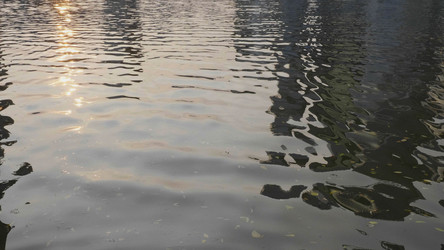 Similar image 21556248