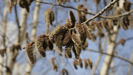 Similar image 21556251