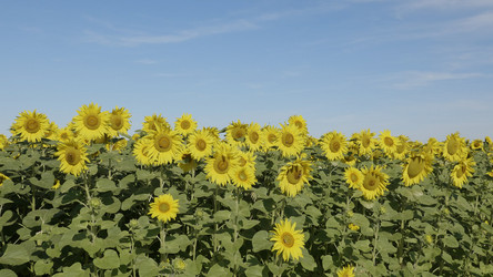 Similar image 21609768