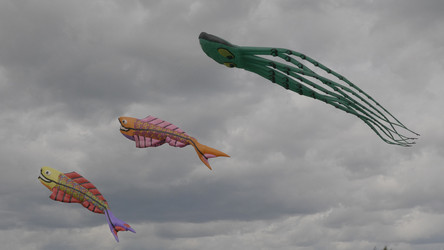 Similar image 21609772