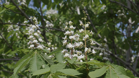 Similar image 21609774