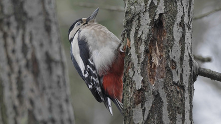 Similar image 21610171