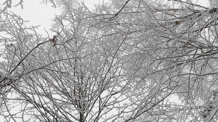 Similar image 21630853