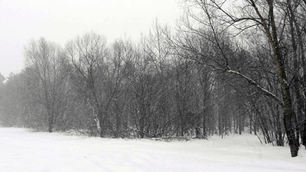 Similar image 21630854