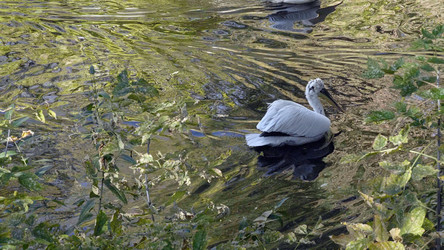 Similar image 21631060