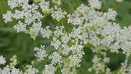 Similar image 21631494