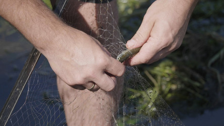 Similar image 21554707