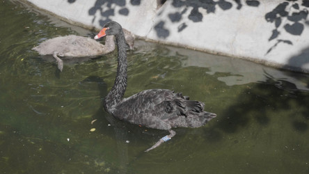 Similar image 21554708