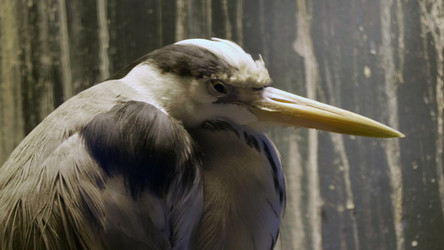 Similar image 21556255