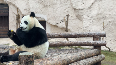 Similar image 21556256