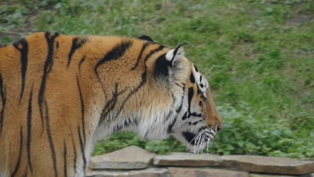 Similar image 21556257