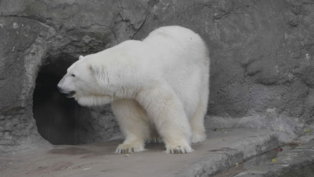 Similar image 21556259