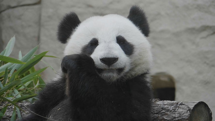 Similar image 21558939