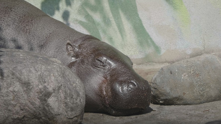 Similar image 21609779