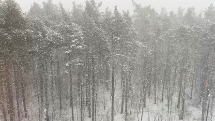 Similar image 21630138